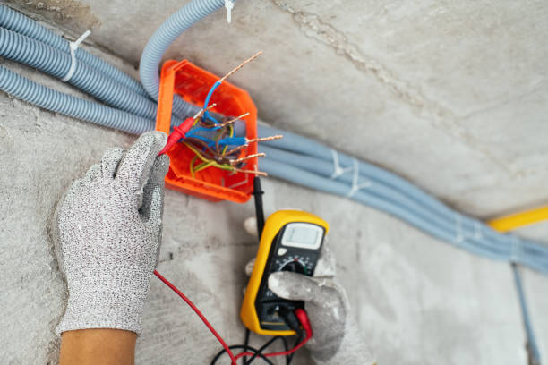 Best Local Electrician Companies  in Swepsonville, NC